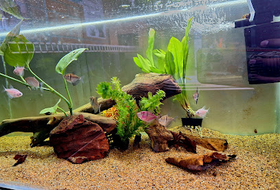 Acuario Acuario Acuatep