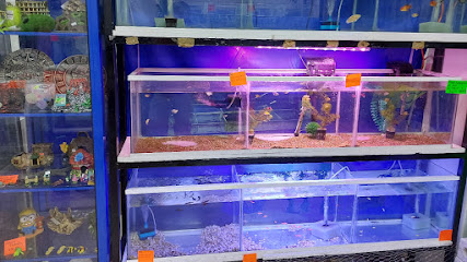 Acuario Campeche y Pet Shop en San Francisco de Campeche, Campeche, México.
