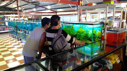 Acuario Acuatlax
