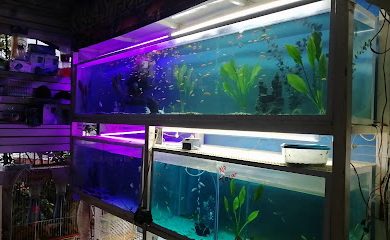 Acuario CRAYFISH ACUARIO