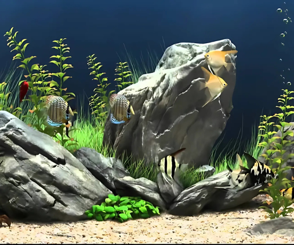 Interior de El Acuario de Marlin, Rincón de Romos, Ags.