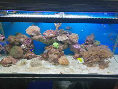 Acuario Fauna Acuario