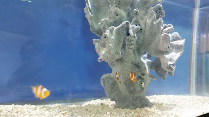 Acuario Patlán Peces & Acuarios