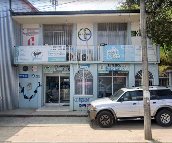 Estética canina de Clínica Veterinaria Dálmata.