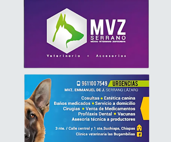 Servicios médicos veterinarios en LAS BUGAMBILIAS