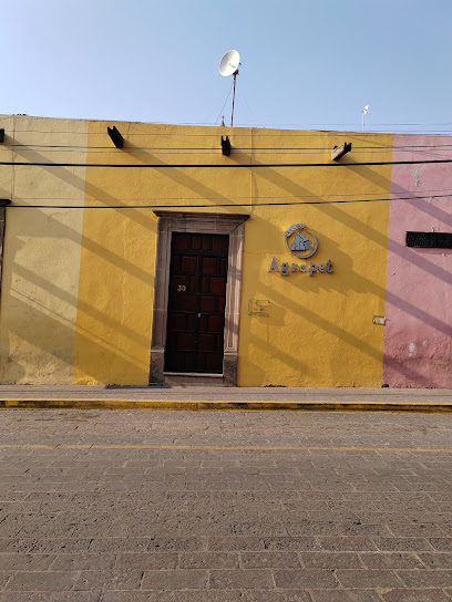 Cuidados veterinarios Agropet