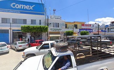 Cuidados veterinarios Clinica Y Veterinaria San Cristobal