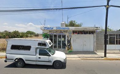 Cuidados veterinarios Clínica veterinaria Pretty Pets Dr Zárate
