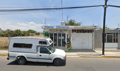 Cuidados veterinarios Clínica veterinaria Pretty Pets Dr Zárate