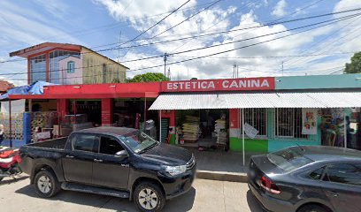 Cuidados veterinarios en Estética Canina, Mapastepec.