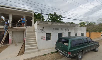 Cuidados veterinarios Happy Pets Farmacia Y Estética Canina