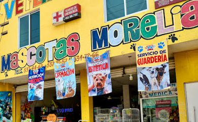 Cuidados veterinarios Mascotas Morelia - Veterinaria en Apatzingan