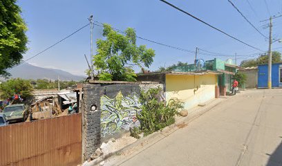 Cuidados veterinarios Mundo Vet
