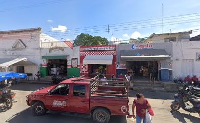 Cuidados veterinarios Nutrimenntos Purina