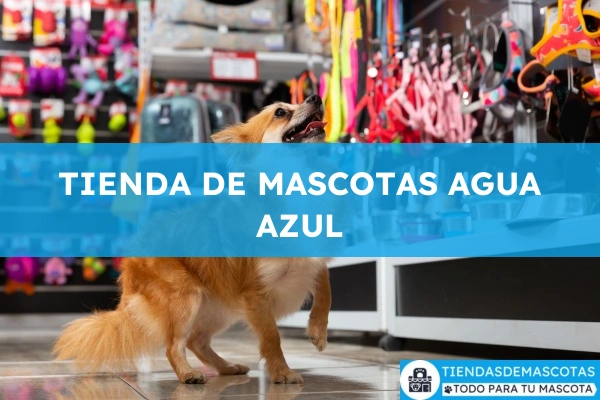 Cuidados veterinarios TIENDA DE MASCOTAS AGUA AZUL