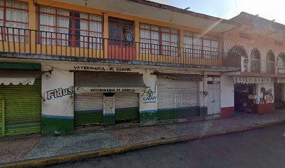Cuidados veterinarios VETERINARIA EL CORCEL