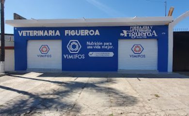 Cuidados veterinarios Veterinaría Figueroa