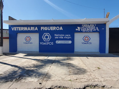 Cuidados veterinarios Veterinaría Figueroa