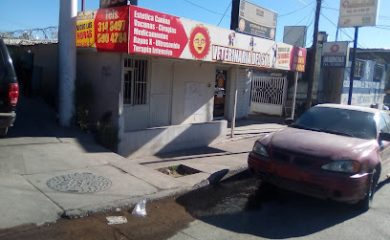 Cuidados veterinarios Veterinaria del Sol Nogales