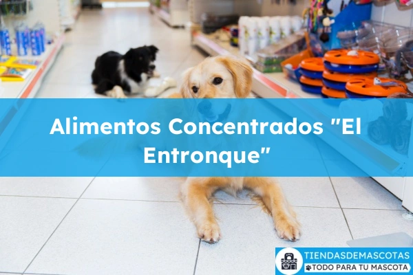Farmacia veterinaria Alimentos Concentrados "El Entronque"