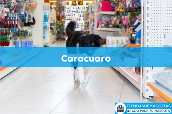Farmacia veterinaria Caracuaro