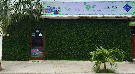 Farmacia veterinaria Centro Veterinario del Valle