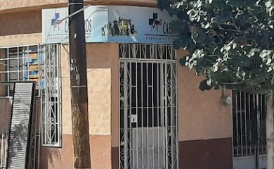 Farmacia veterinaria Clinica veterinaria cachorros