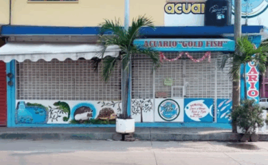 GOLDFISH ACUARIO Y MASCOTAS