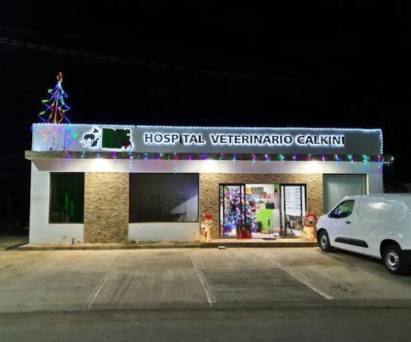 Servicios veterinarios en Hospital Veterinario Puc Pets Calkiní, Calkiní, Camp.