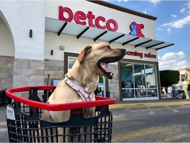 Petco Américas Foto 2