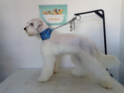 Peluquero de mascotas D´Huellitas Estetica canina