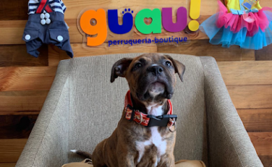 Peluquero de mascotas Guau perruquería-boutique