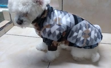 Peluquero de mascotas Happy Pet's Panteón para Mascotas