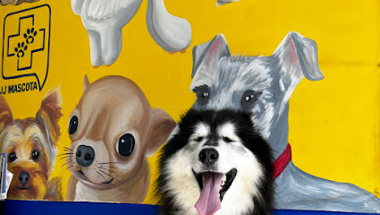 Peluquero de mascotas JJMASCOTA