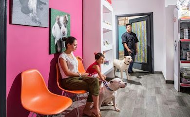 Peluquero de mascotas Rocky Pet Hotel Spa