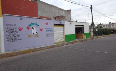 Peluquero de mascotas Tienda de mascotas "Osgua"