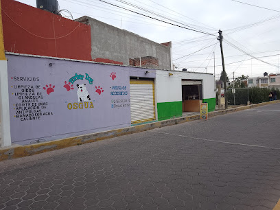 Peluquero de mascotas Tienda de mascotas "Osgua"