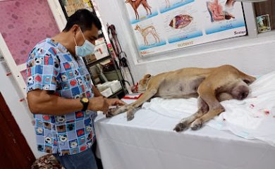 Peluquero de mascotas Veterinaria y Estética Canina COMERTESA