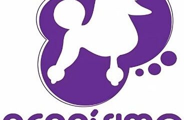 Perrisimo limpieza de mascotas Venta de accesorios, alimento Peluquero de mascotas