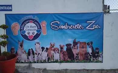 Servicio de adopción de mascotas Albergue Canino “Un Buen Corazón"