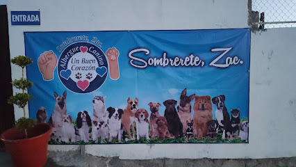 Servicio de adopción de mascotas Albergue Canino “Un Buen Corazón"