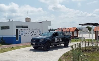 Servicio de adopción de mascotas Centro de atención y control de animales de La Piedad