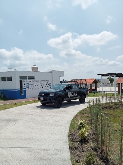 Servicio de adopción de mascotas Centro de atención y control de animales de La Piedad