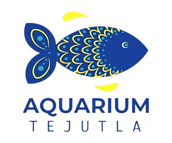 Interior Aquarium Tejutla