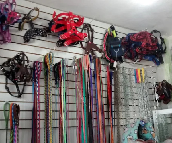 Interior de San Antonio con servicios veterinarios.