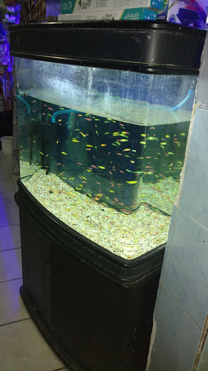 Tienda de acuarios Acuario Aqua fauna