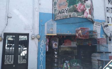 Tienda de acuarios Acuario Ary