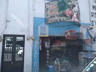 Tienda de acuarios Acuario Ary