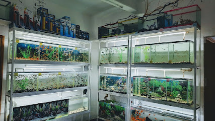 Tienda de acuarios Acuario Coral