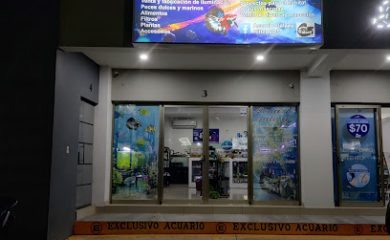 Tienda de acuarios Acuario Galaxy